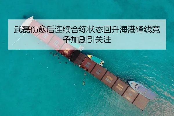 武磊伤愈后连续合练状态回升海港锋线竞争加剧引关注
